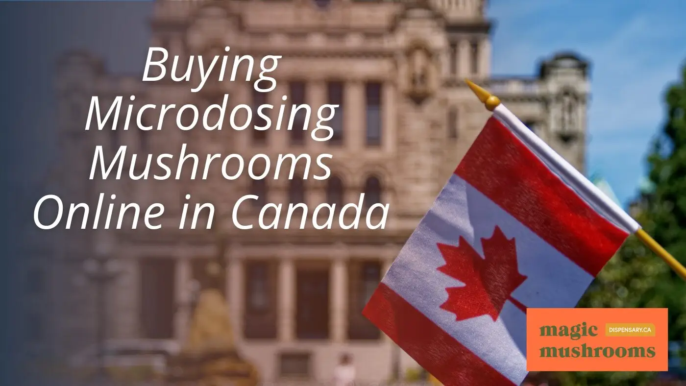 Buying Microdosing Mushrooms Online in Canada Buying Microdosing Mushrooms Online in Canada