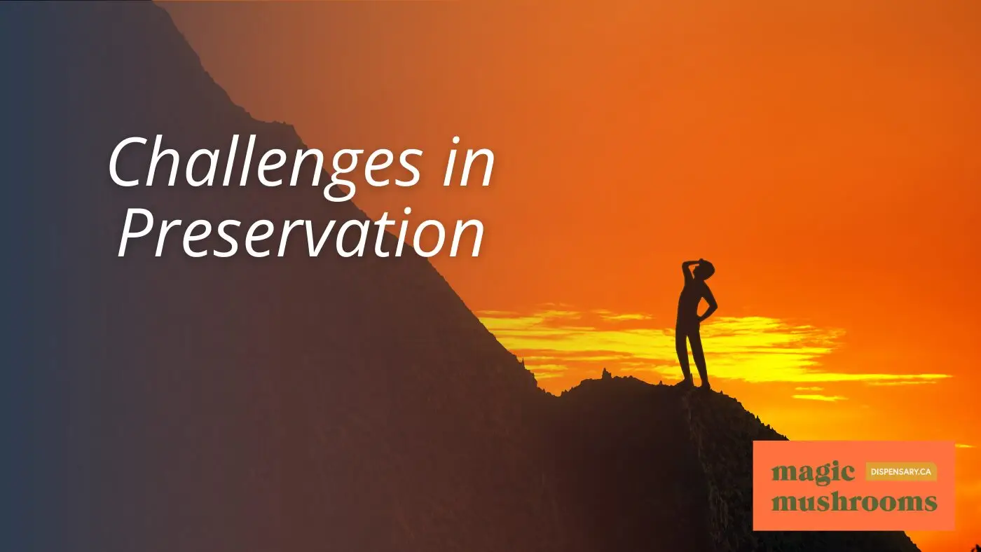 Challenges in Preservation Challenges in Preservation