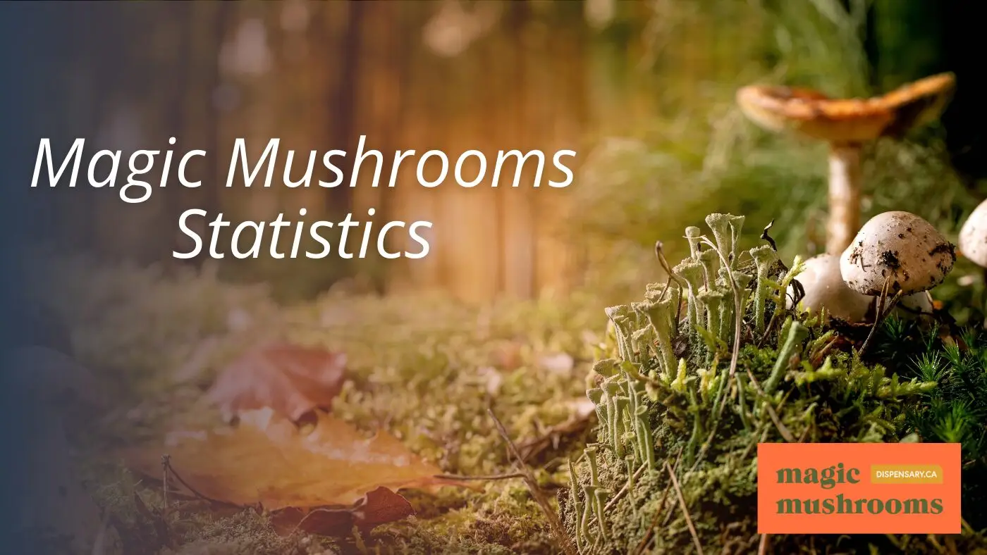 Magic Mushrooms Statistics Magic Mushrooms Statistics