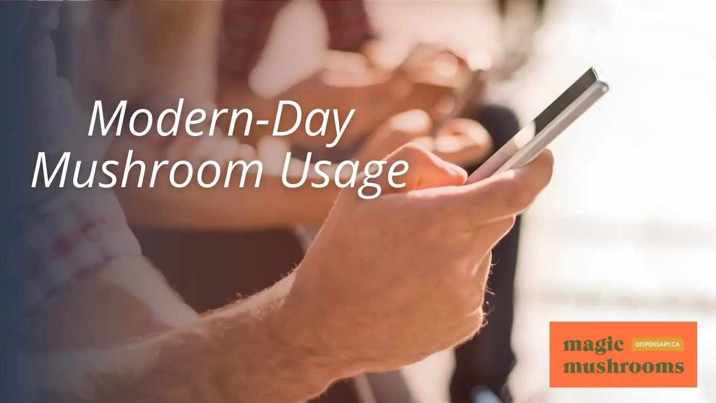 Modern Day Mushroom Usage