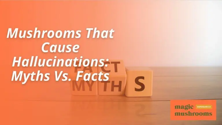 Mushrooms That Cause Hallucinations Myths Vs. Facts