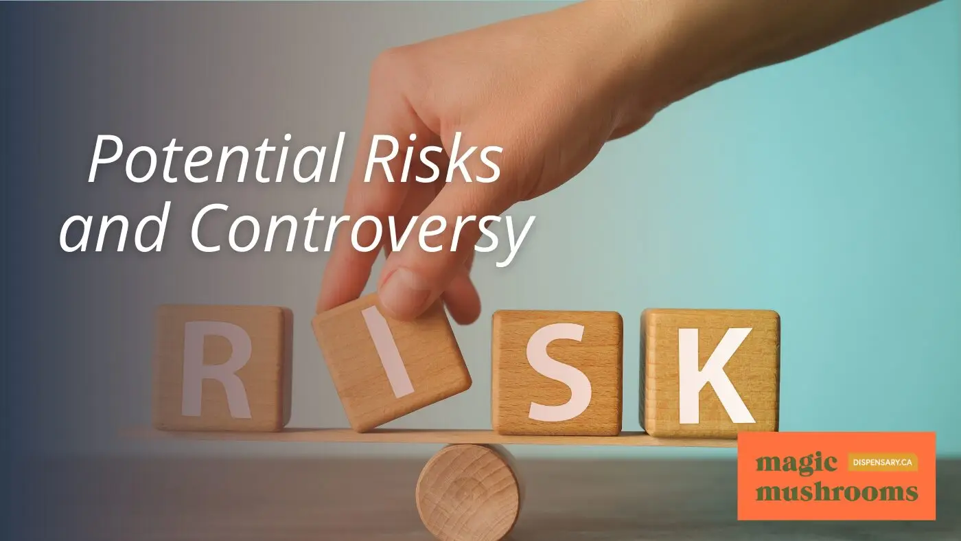 Potential Risks and Controversy Potential Risks and Controversy