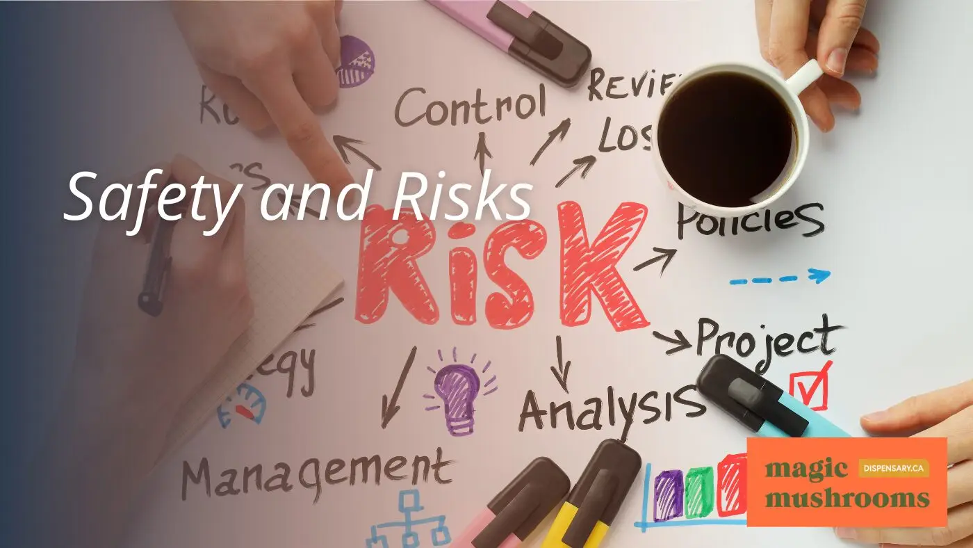 Safety and Risks