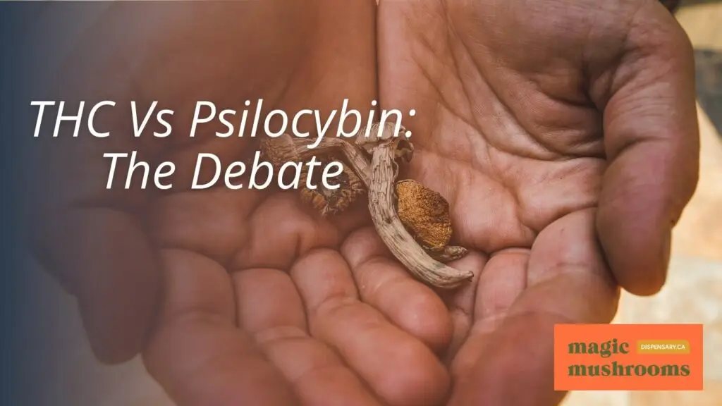THC Vs Psilocybin The Debate THC Vs Psilocybin The Debate
