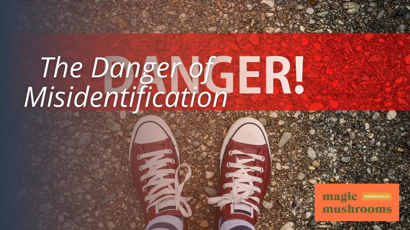 The Danger of Misidentification