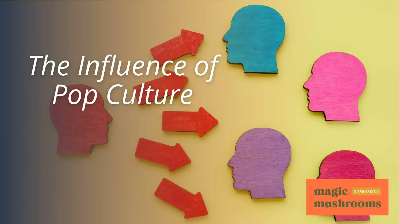 The Influence of Pop Culture The Influence of Pop Culture