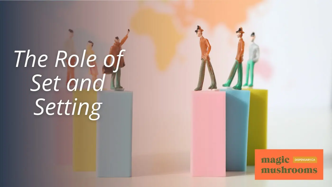 The Role of Set and Setting