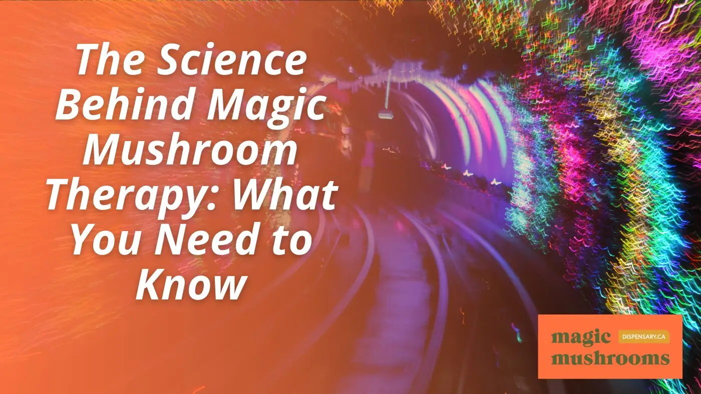 The Science Behind Magic Mushroom Therapy What You Need to Know