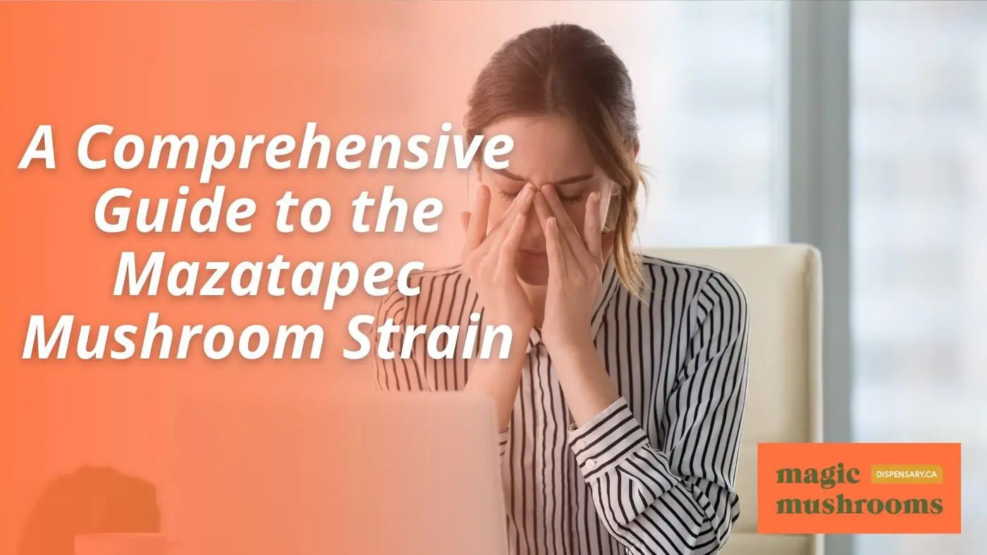 A Comprehensive Guide to the Mazatapec Mushroom Strain