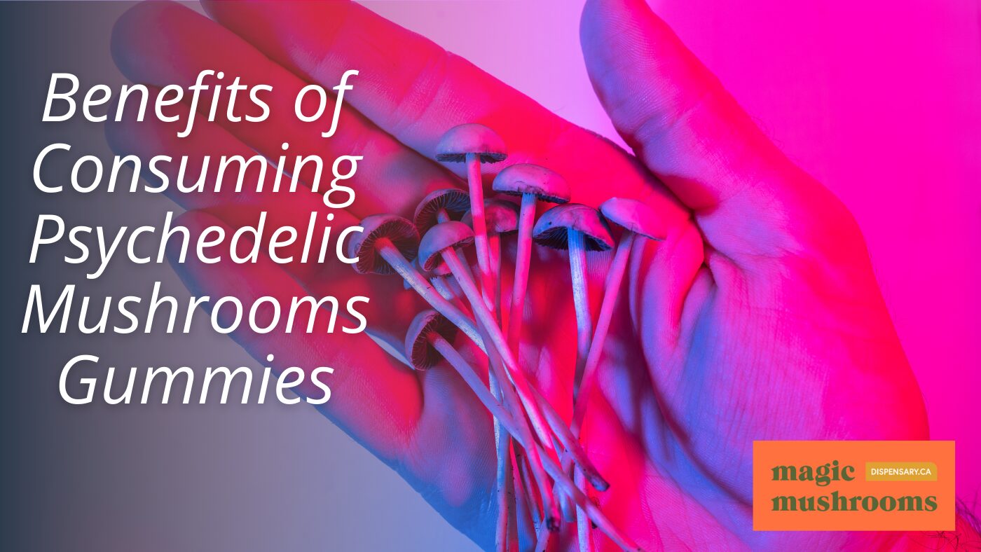 Benefits of Consuming Psychedelic Mushrooms Gummies (1)