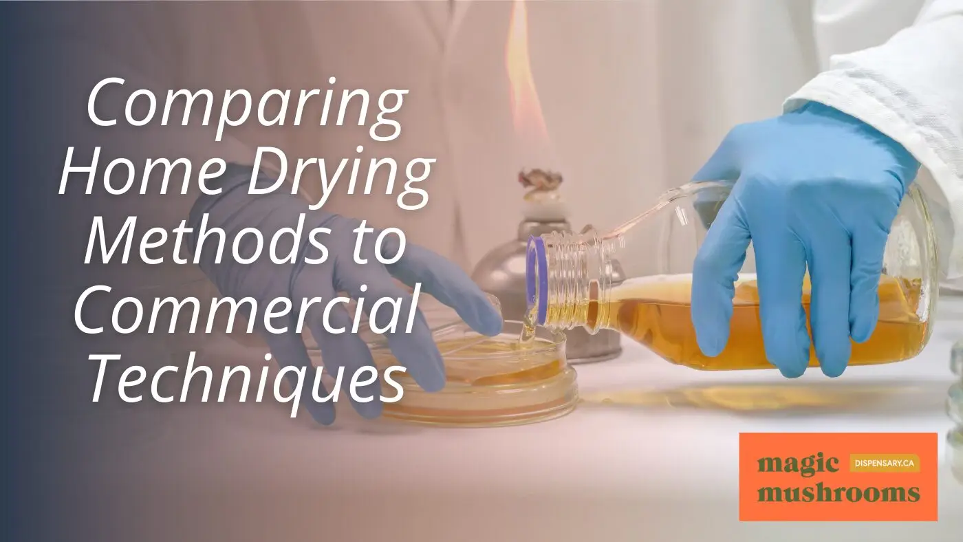 Comparing Home Drying Methods to Commercial Techniques