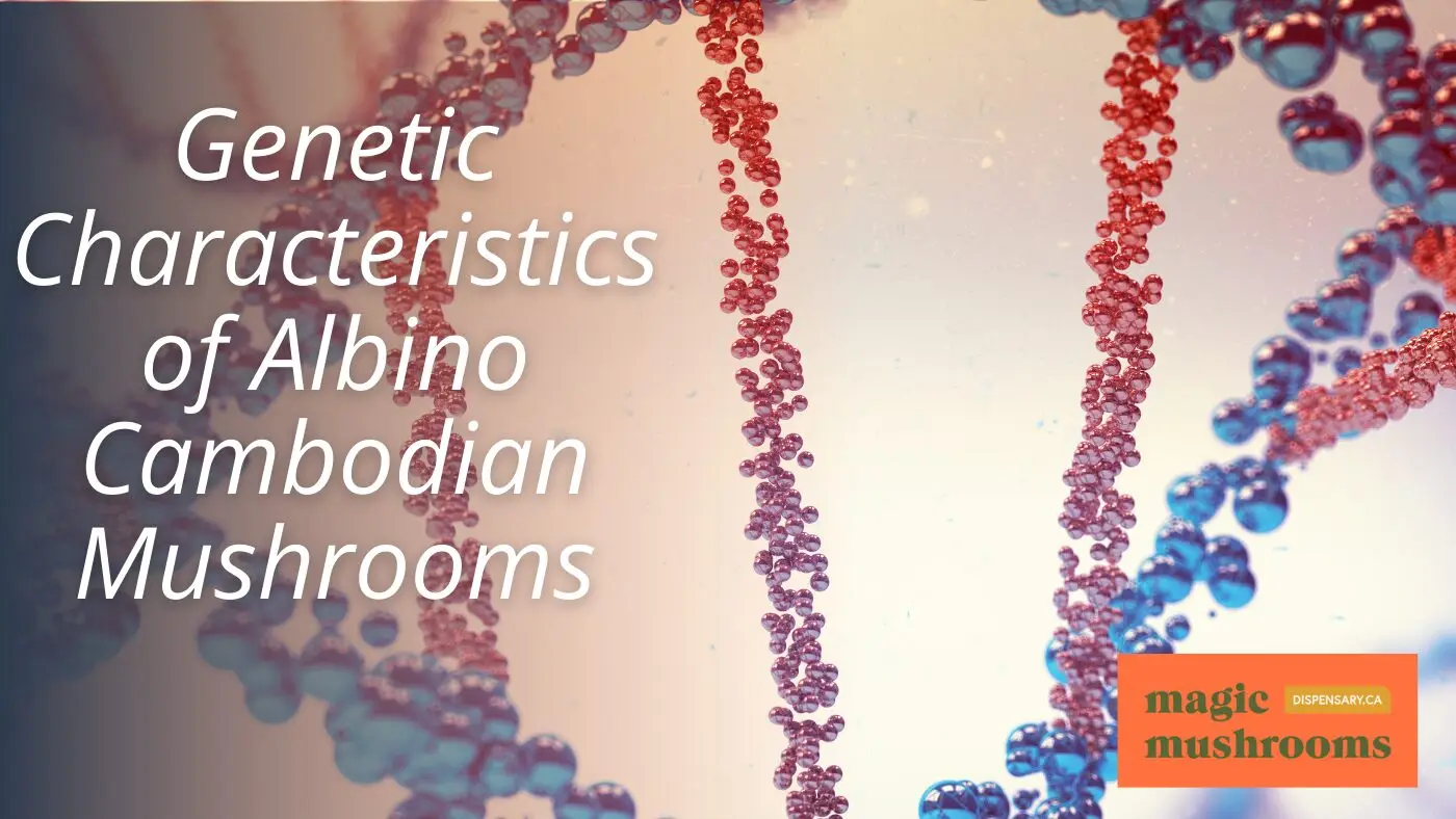 Genetic Characteristics of Albino Cambodian Mushrooms Genetic Characteristics of Albino Cambodian Mushrooms