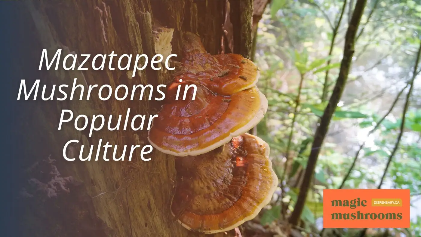 Mazatapec Mushrooms in Popular Culture Mazatapec Mushrooms in Popular Culture