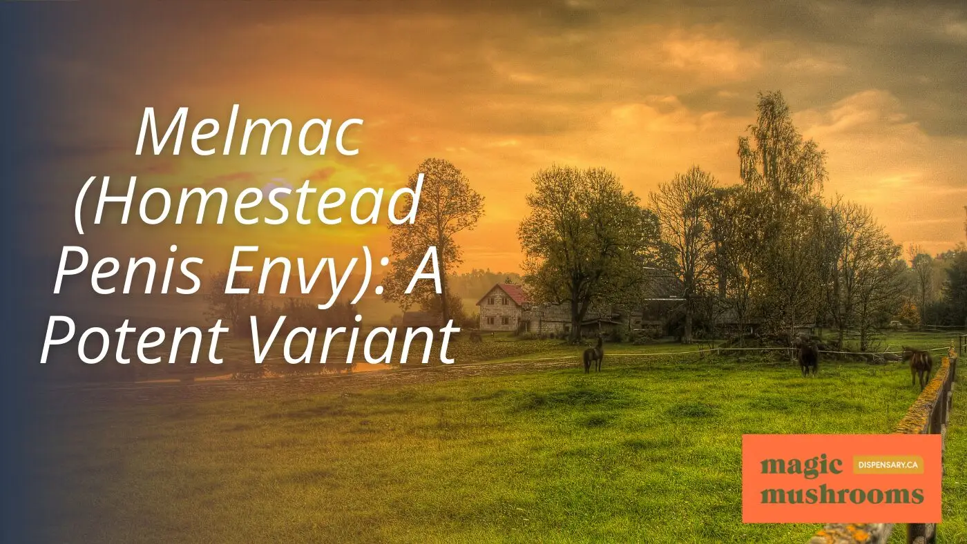 Melmac (Homestead Penis Envy) A Potent Variant Melmac (Homestead Penis Envy) A Potent Variant
