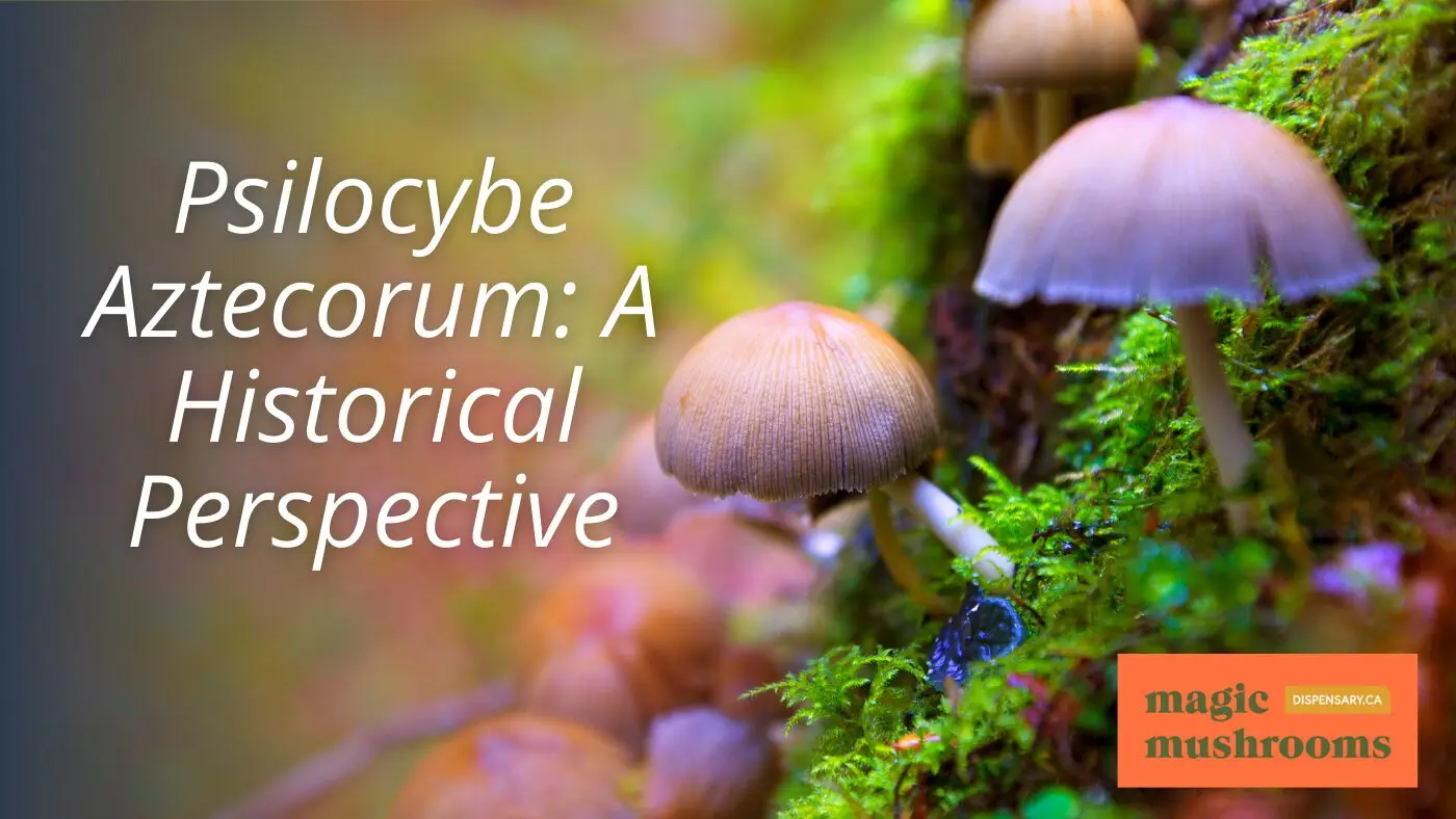 Psilocybe Aztecorum A Historical Perspective Psilocybe Aztecorum A Historical Perspective
