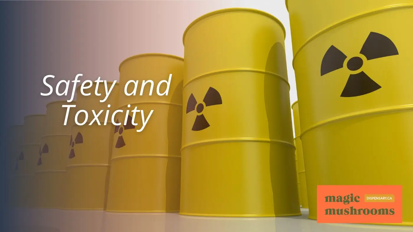 Safety and Toxicity Safety and Toxicity