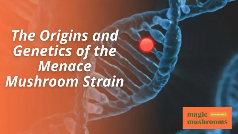 The Origins and Genetics of the Menace Mushroom Strain