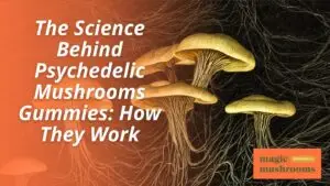 The Science Behind Psychedelic Mushrooms Gummies How They Work