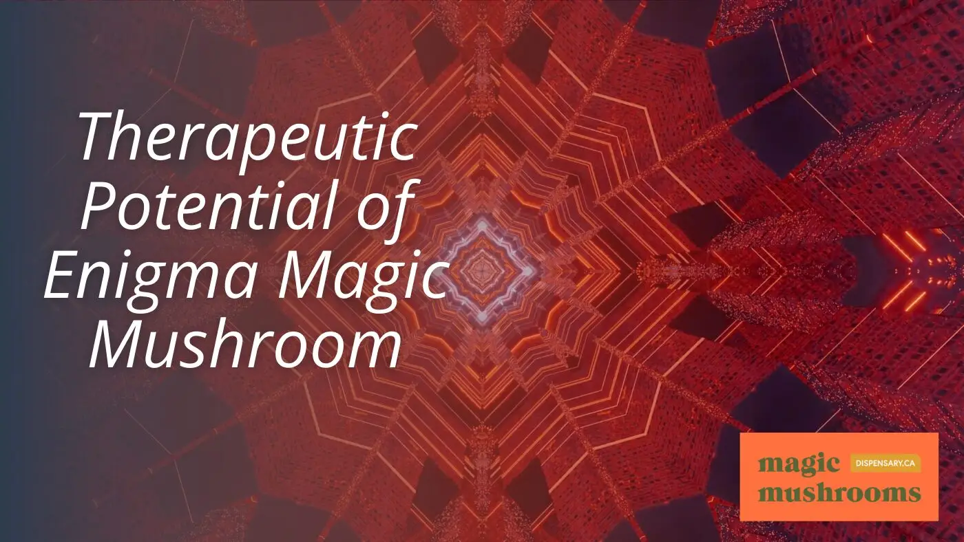 Therapeutic Potential of Enigma Magic Mushroom