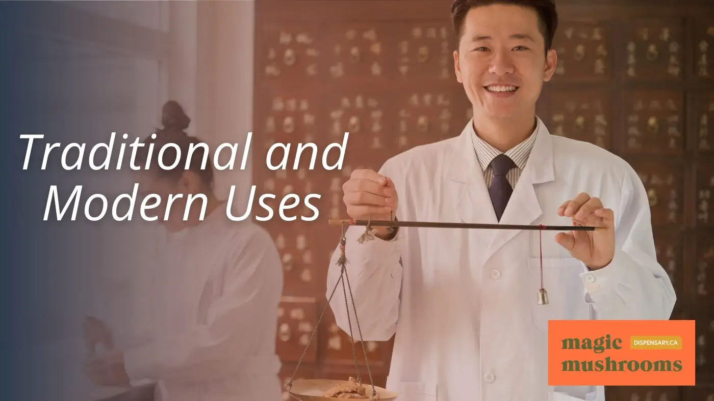 Traditional and Modern Uses Historical Significance of the Mazatapec Mushroom Strain