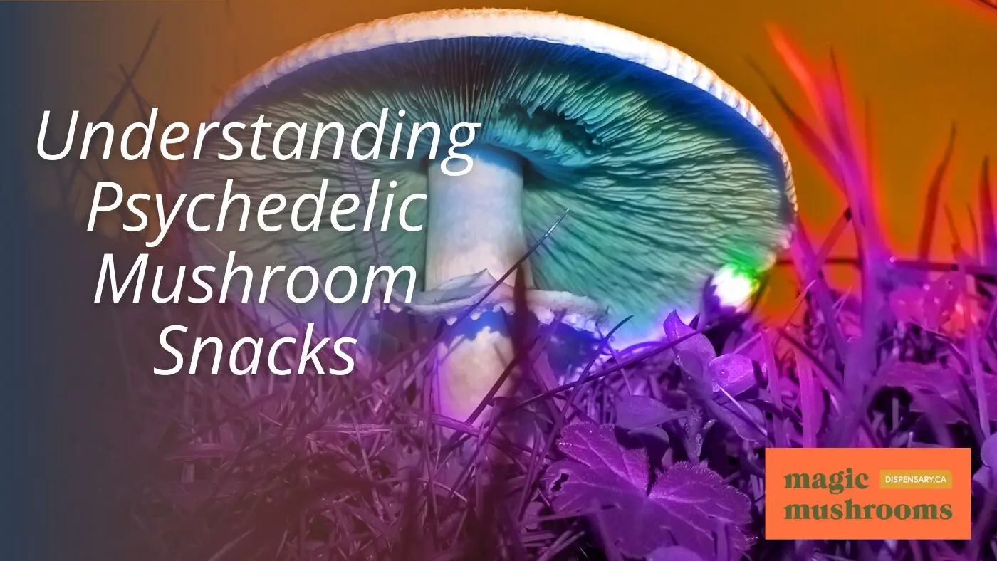 Understanding Psychedelic Mushroom Snacks Understanding Psychedelic Mushroom Snacks