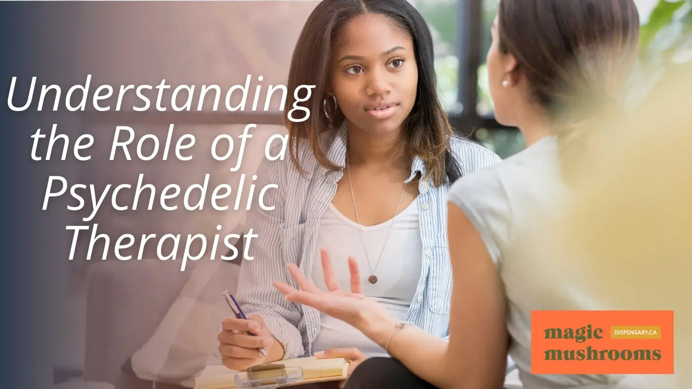 Understanding the Role of a Psychedelic Therapist Understanding the Role of a Psychedelic Therapist