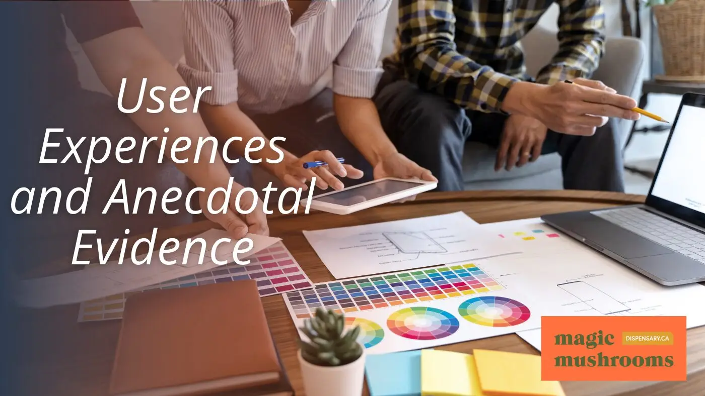User Experiences and Anecdotal Evidence User Experiences and Anecdotal Evidence