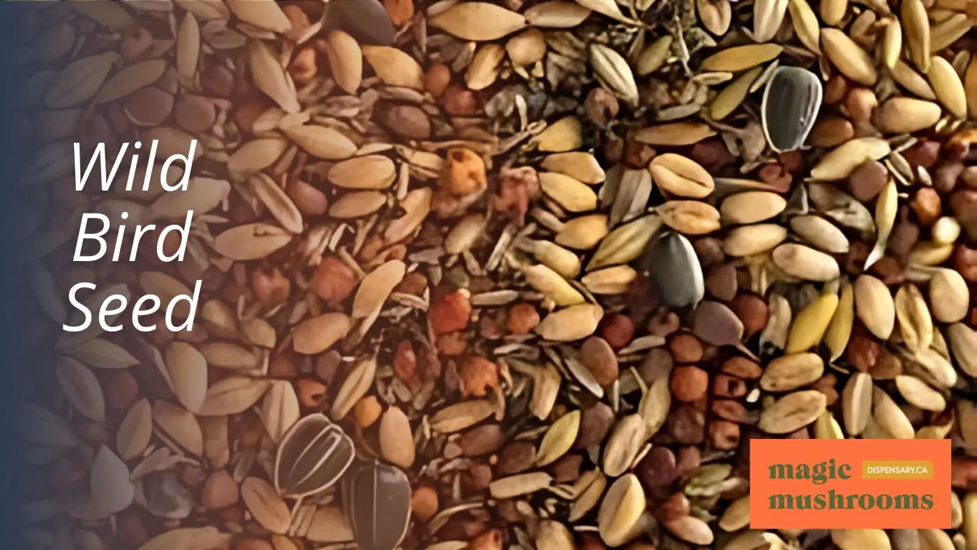Wild Bird Seed