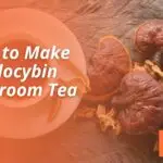 How to Make Psilocybin Mushroom Tea