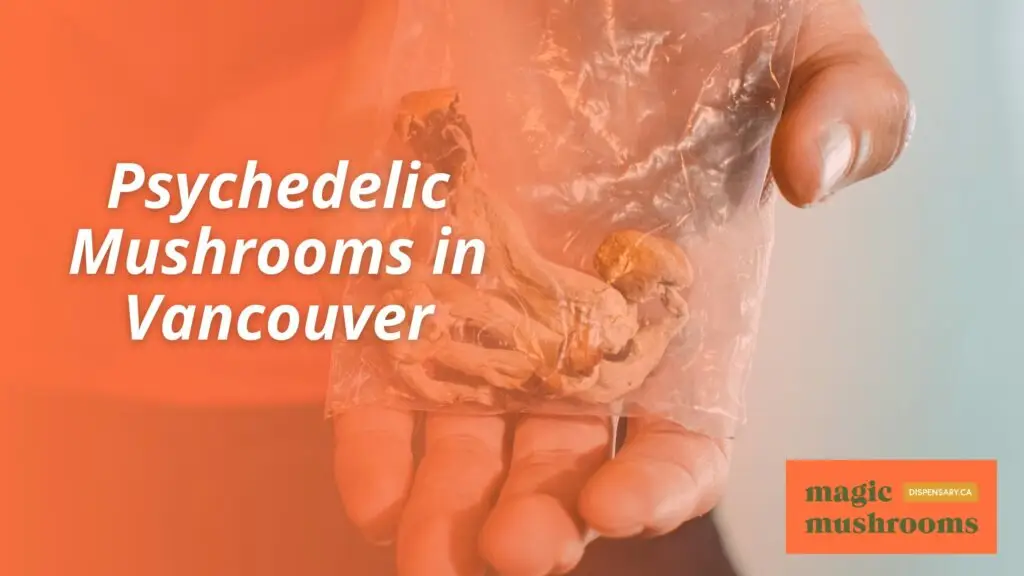 Psychedelic Mushrooms in Vancouver