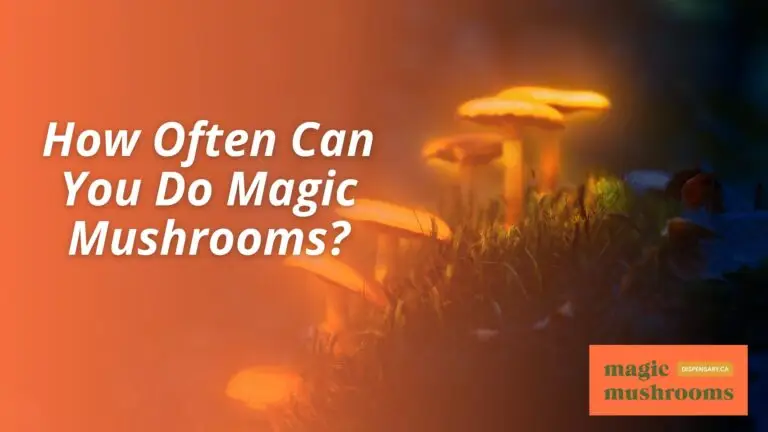 How Often Can You Do Magic Mushrooms