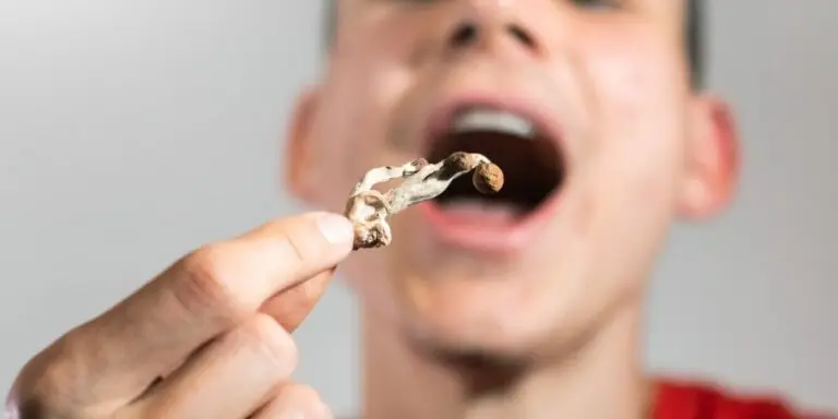 How Long Do Magic Mushrooms Lasts