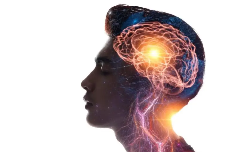 The 4 Phases of a Shroom Trip What to Expect and How to Make the Most of It