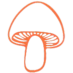 macrodose - Shrooms dispensary icon