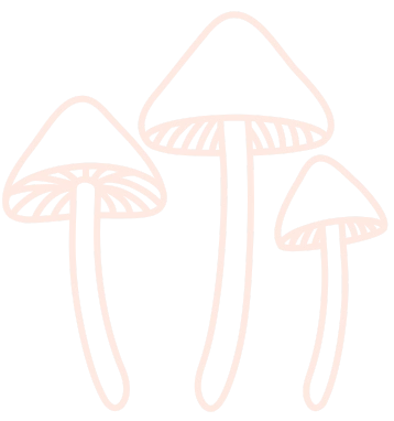 buying psychedelic mushrooms online 2