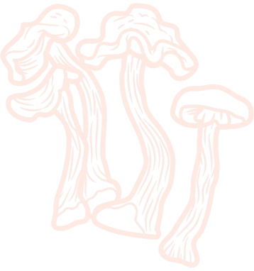 purchase psychedelic mushrooms