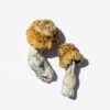 Avalanche Magic Mushrooms