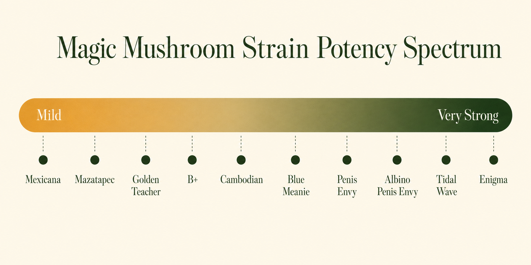 Magic mushroom strain potency spectrum showing 13 MMD strains plotted from mild to extreme, including Golden Teacher, B+, Jedi Mind Fuck, Hero, Penis Envy, Albino Penis Envy, Shepherds Cut PE, and Enigma