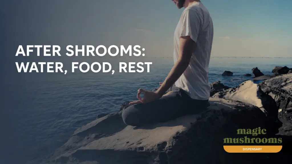 What to eat before, during and after shrooms