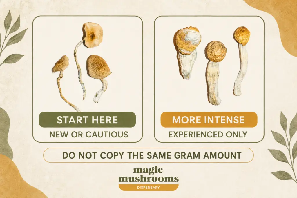 Golden Teacher for new or cautious customers and Penis Envy for experienced customers