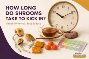 How long shrooms take to kick in with dried mushrooms, tea, gummies and chocolate