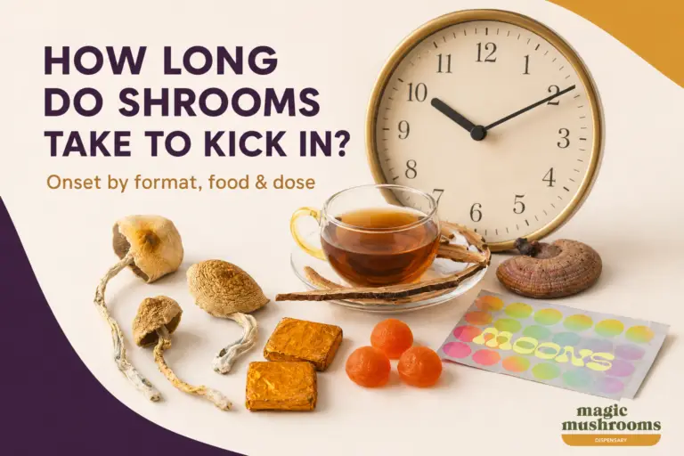 How long shrooms take to kick in with dried mushrooms, tea, gummies and chocolate
