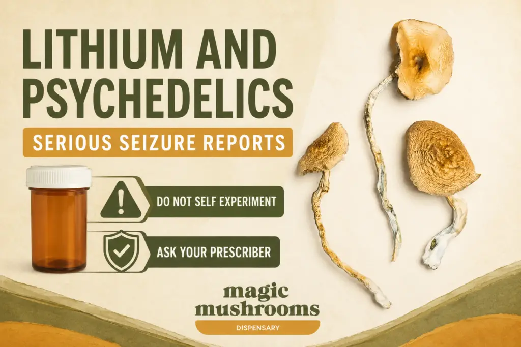 Lithium and psychedelics seizure warning with Golden Teacher mushrooms and prescription bottle