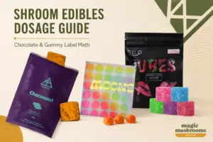 Shroom edibles dosage guide with real MMD chocolate and gummy products