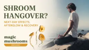 Shroom hangover next-day effects afterglow and recovery guide