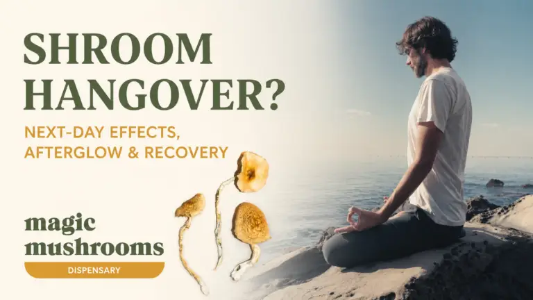 Shroom hangover next-day effects afterglow and recovery guide