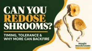 Can you redose shrooms timing tolerance and why taking more can backfire